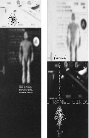 Strange Birds