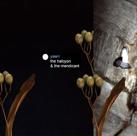 Yawn CD, The Halcyon and The Mendicant